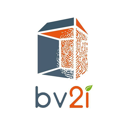 logo_bv2i